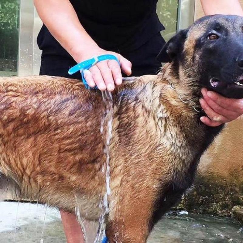 Pet Shower Hair Brush